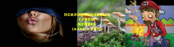 кокаин Белокуриха