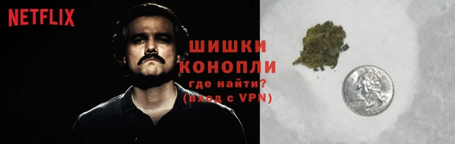 кокаин Белокуриха